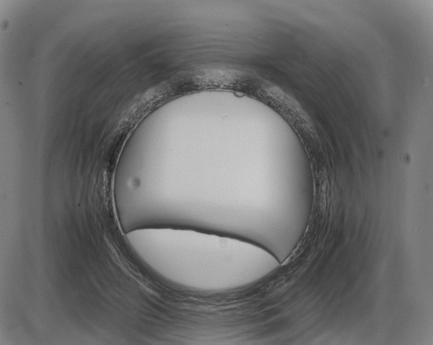 X0000086330498200703300934