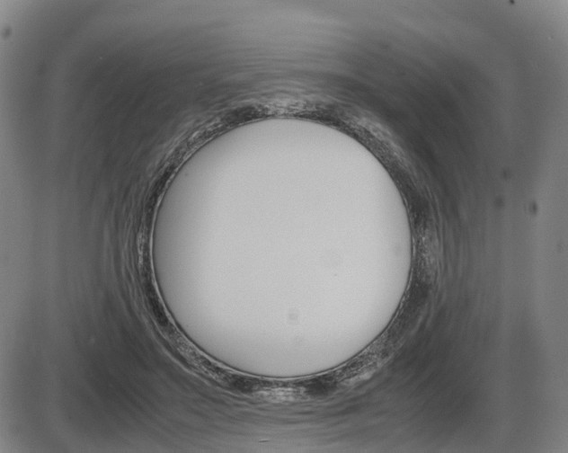 X0000086330499200703300934