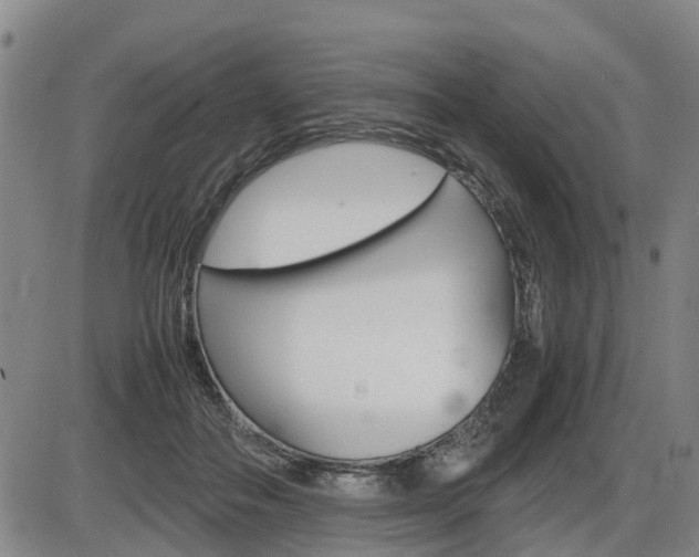 X0000086330506200703300934