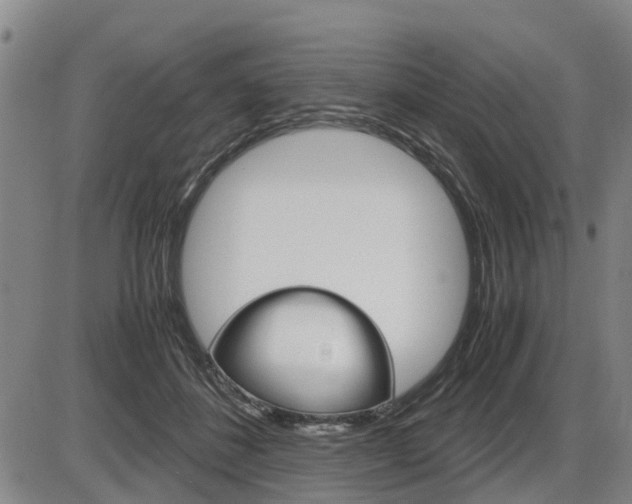 X0000086330508200703300934