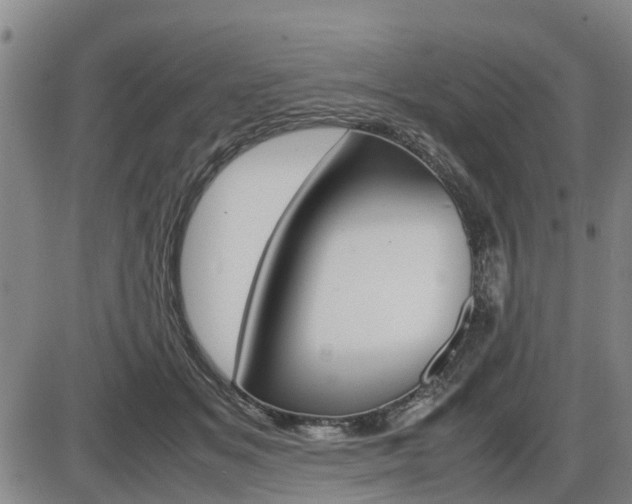 X0000086330509200703300934