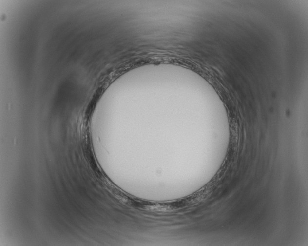 X0000086330511200703300934