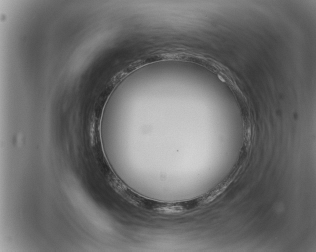 X0000086330525200703300934