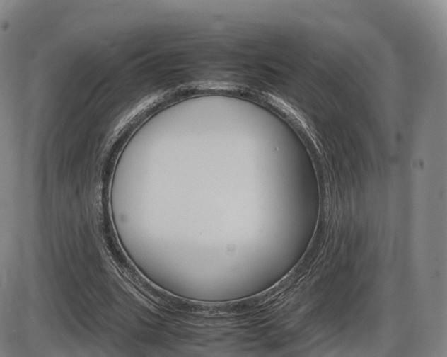 X0000086330535200703300933