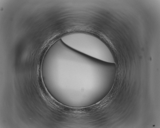 X0000086330542200703300933