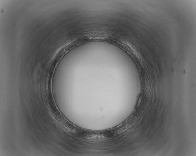 X0000086330543200703300933