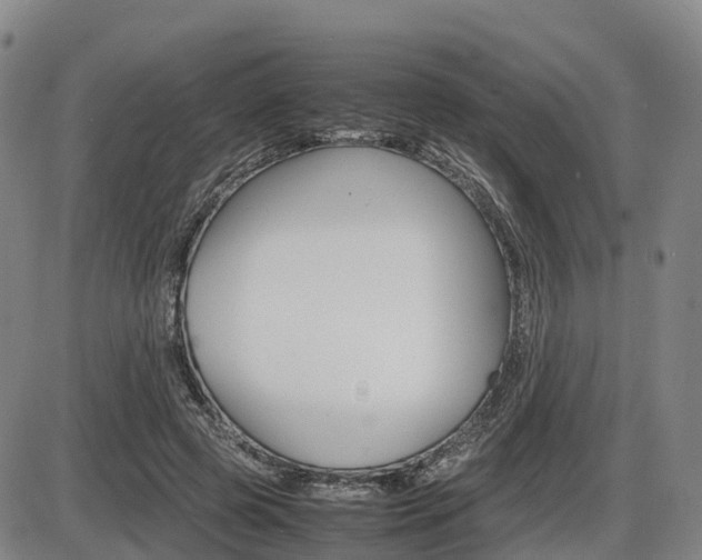 X0000086330545200703300933