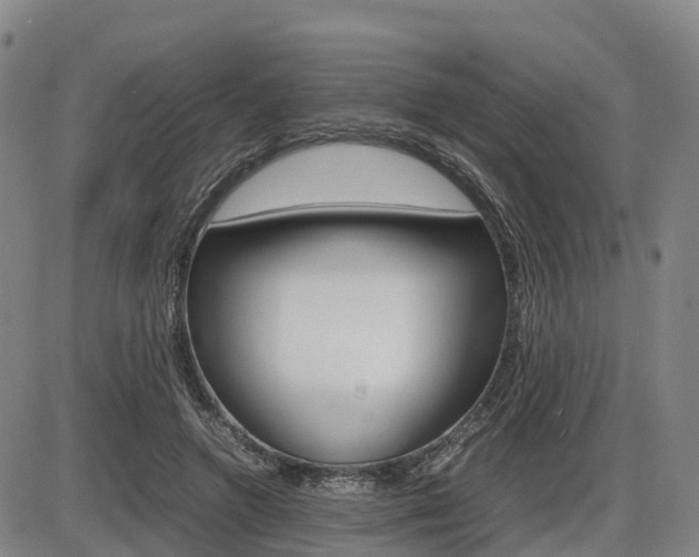 X0000086330546200703300933