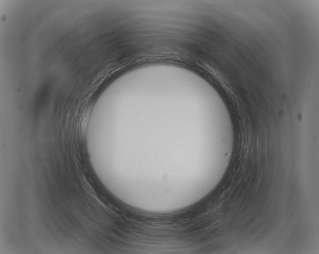X0000086330548200703300933