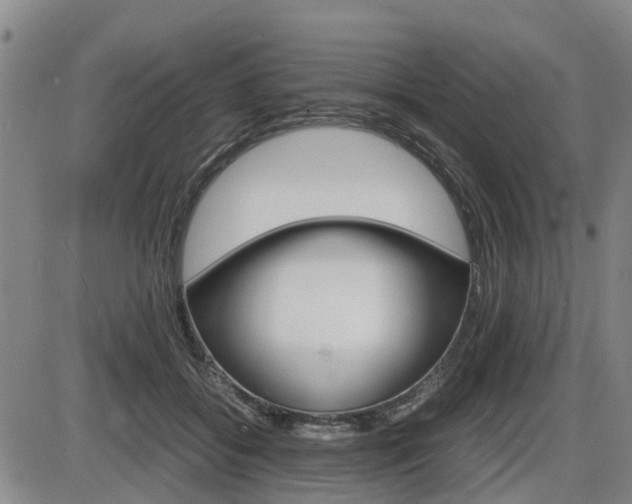X0000086330556200703300934