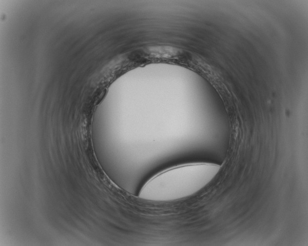 X0000086330559200703300934