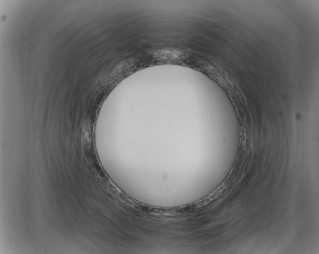 X0000086330561200703300934
