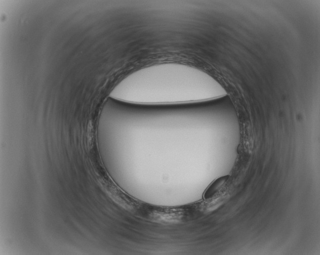 X0000086330563200703300934