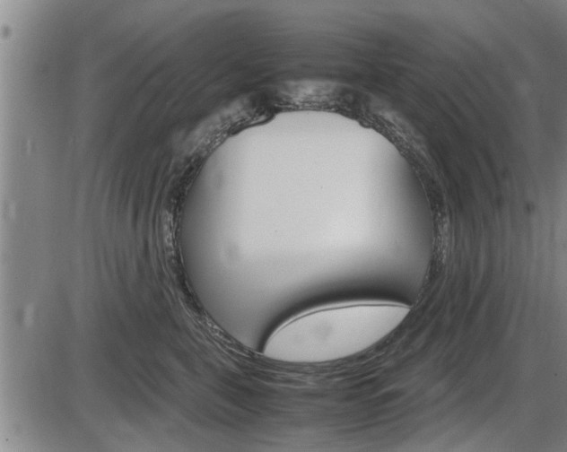 X0000086330571200703300934