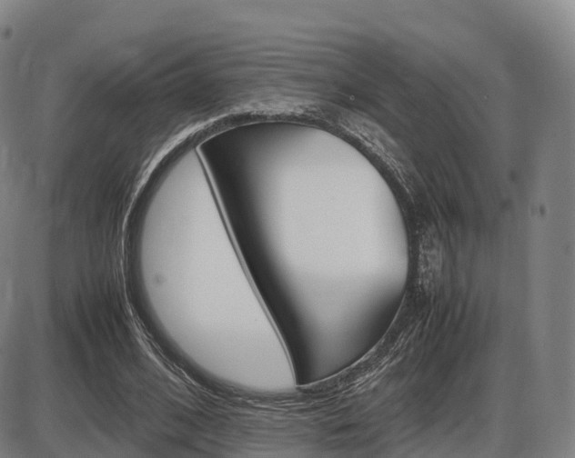 X0000086330584200703300933