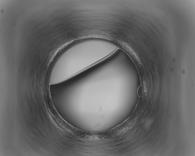 X0000086330588200703300933