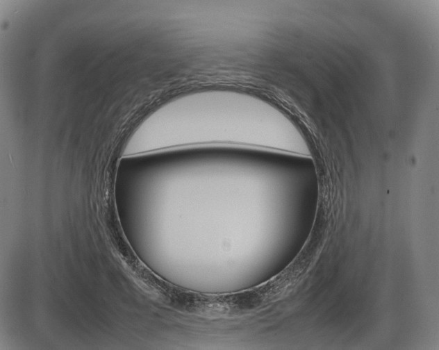 X0000086330593200703300933