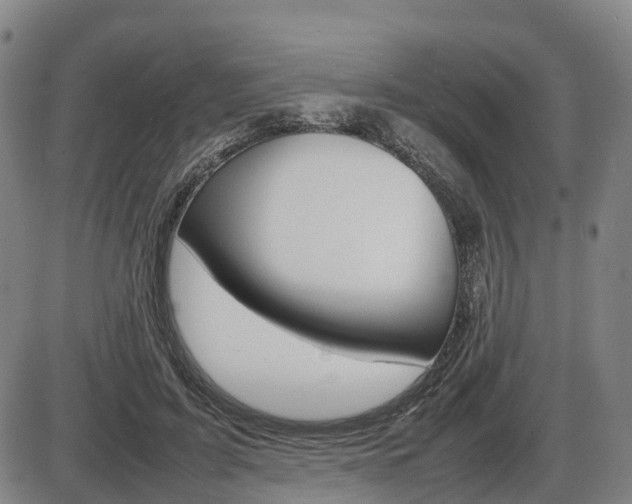 X0000086330595200703300933