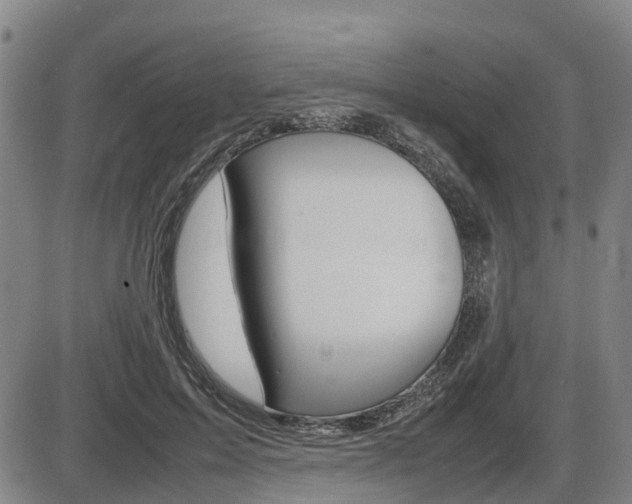 X0000086330599200703300933