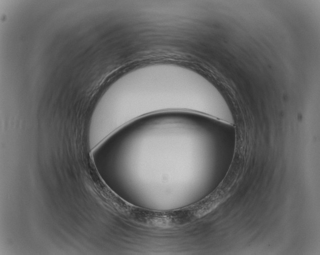 X0000086330600200703300933