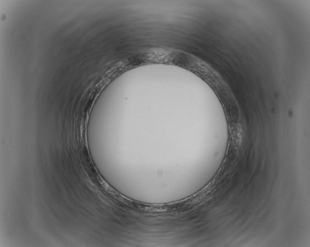 X0000086330602200703300933