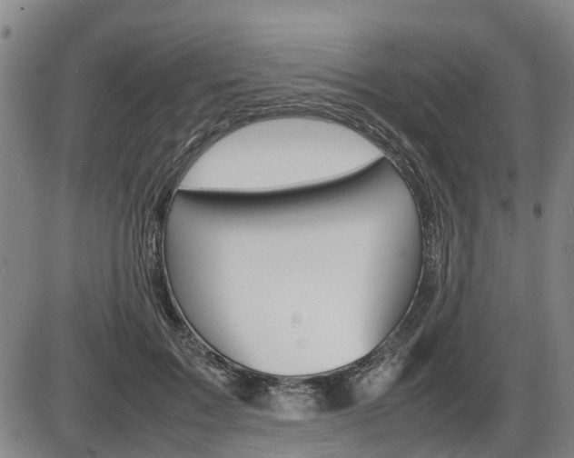 X0000086330603200703300933