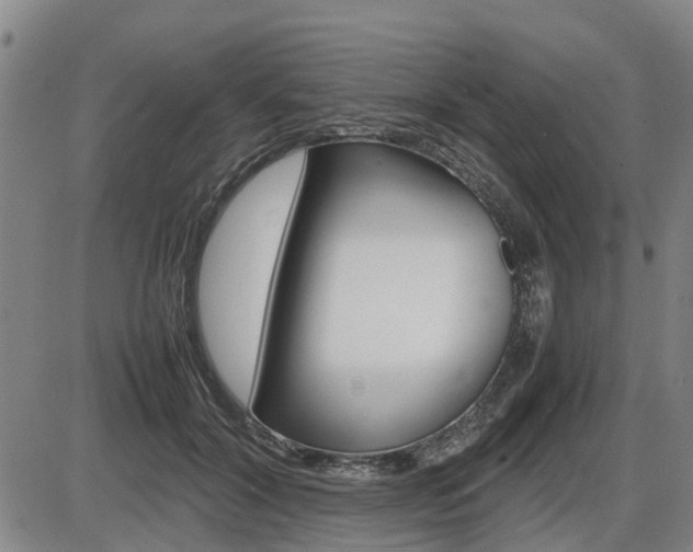 X0000086330604200703300933
