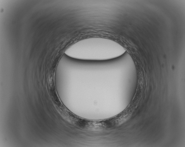 X0000086330607200703300933