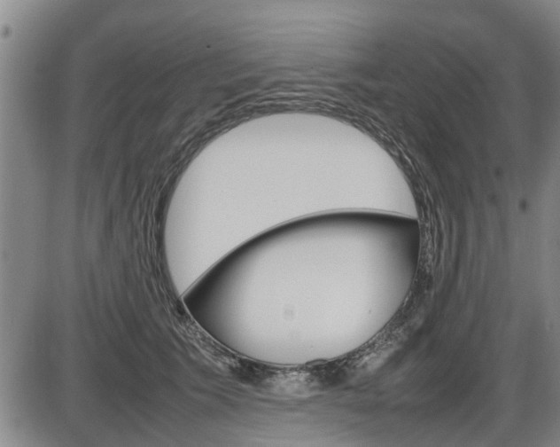 X0000086330609200703300933