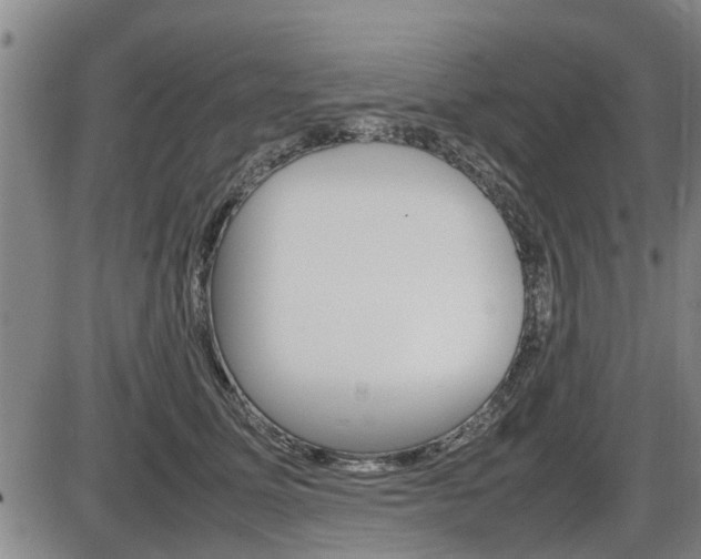 X0000086330611200703300933