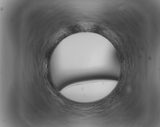 X0000086330615200703300932
