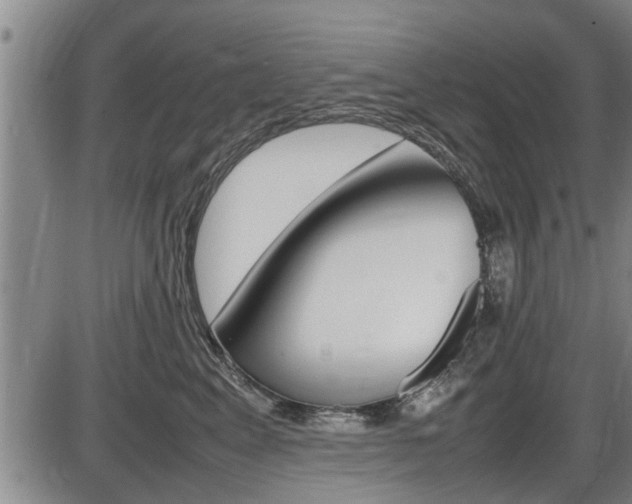 X0000086330617200703300932