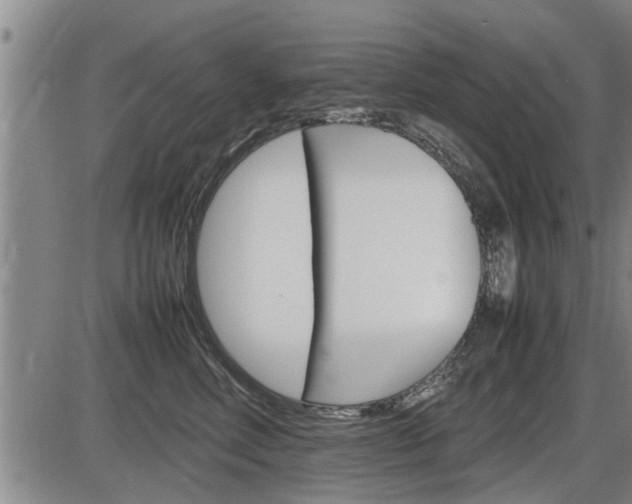 X0000086330618200703300932
