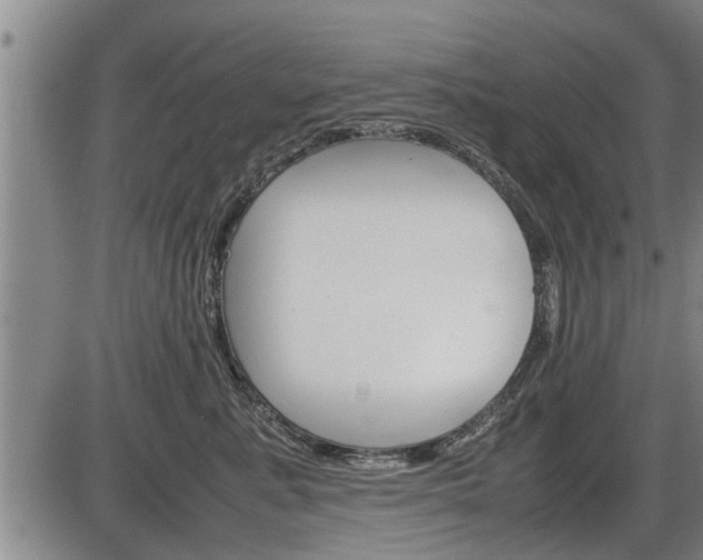 X0000086330619200703300932
