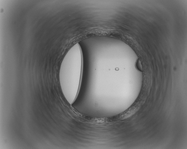 X0000086330624200703300932