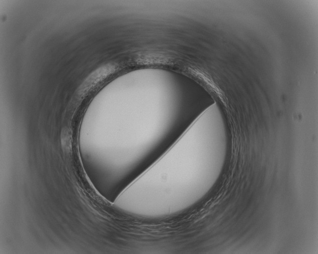 X0000086330631200703300932