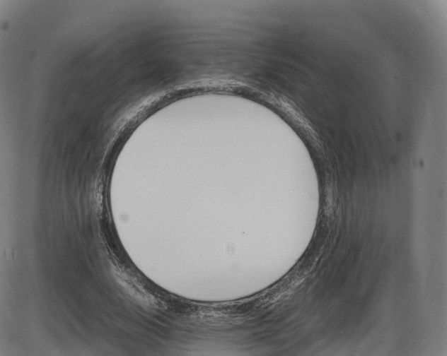 X0000086330632200703300932