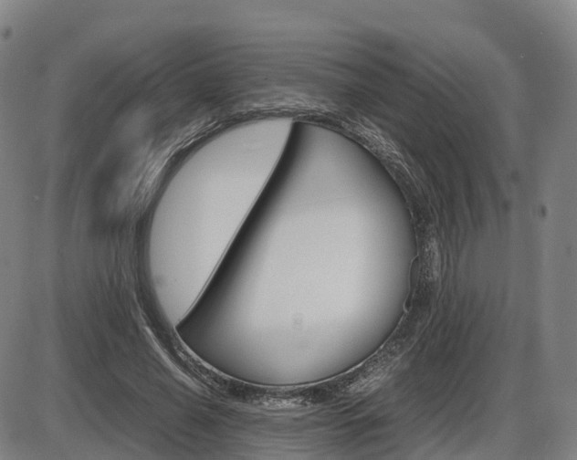 X0000086330638200703300932