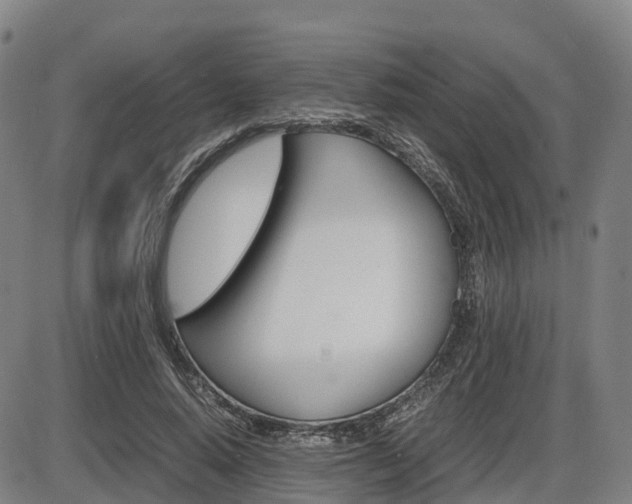 X0000086330640200703300932