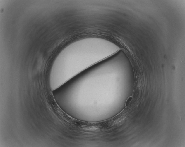 X0000086330643200703300932