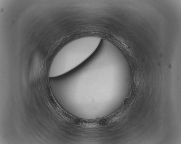 X0000086330645200703300932