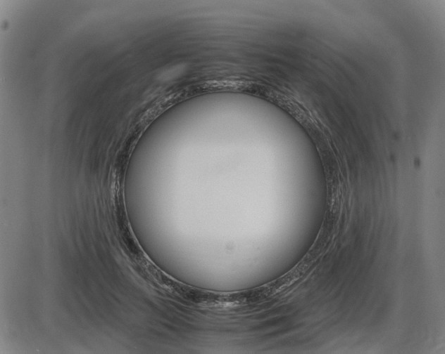X0000086330647200703300932