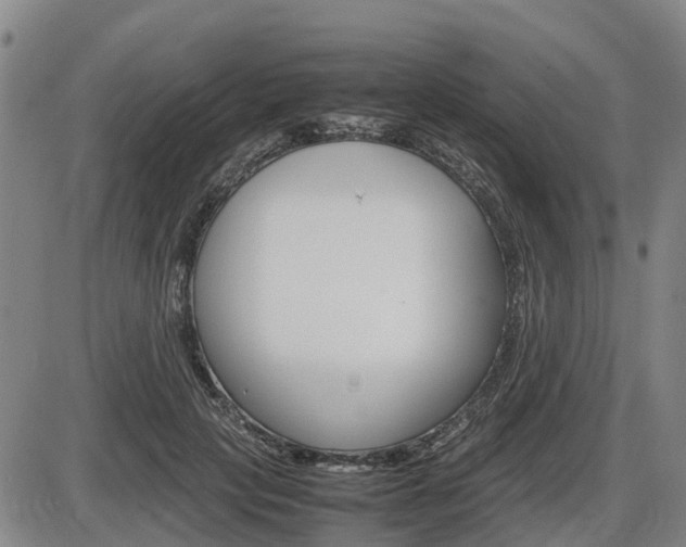 X0000086330649200703300932