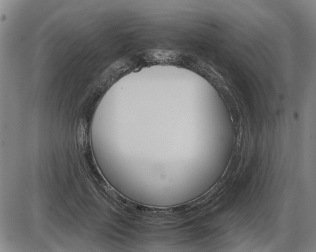 X0000086330651200703300932