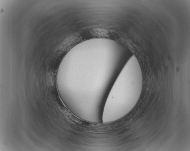 X0000086330658200703300932