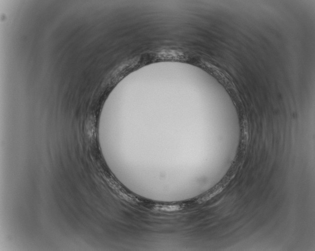 X0000086330665200703300932