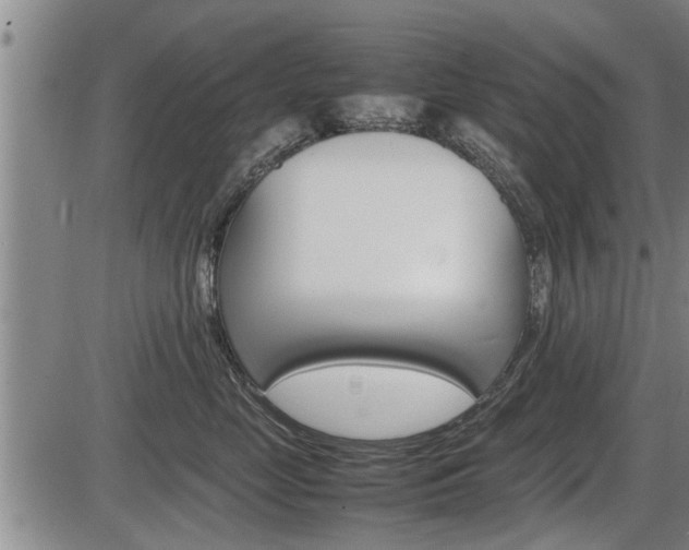 X0000086330669200703300932