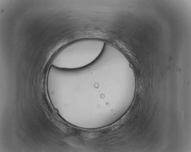 X0000086330679200703300931