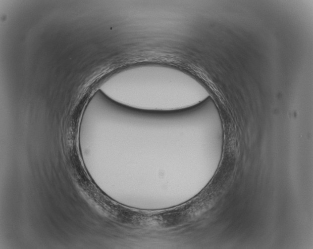 X0000086330683200703300931