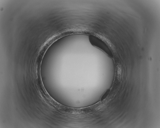 X0000086330684200703300931